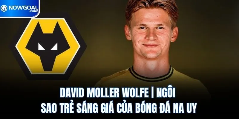 David Moller Wolfe | Ngôi Sao Trẻ Sáng Giá Của Bóng Đá Na Uy
